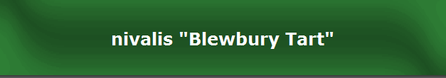 nivalis "Blewbury Tart"