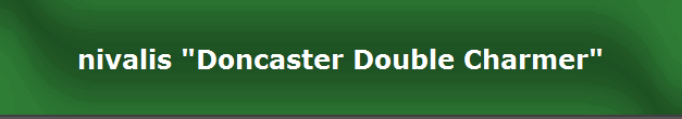 nivalis "Doncaster Double Charmer"