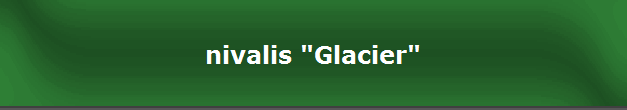 nivalis "Glacier"