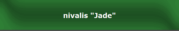 nivalis "Jade"