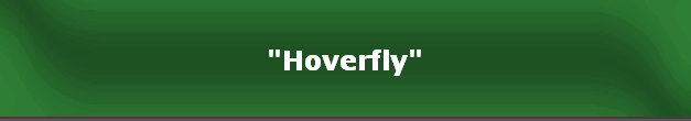 "Hoverfly"