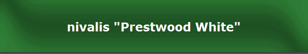 nivalis "Prestwood White"