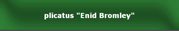 plicatus "Enid Bromley"