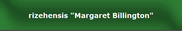 rizehensis "Margaret Billington"